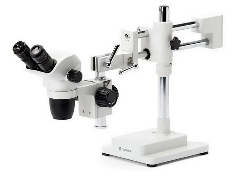 Mikroskop Binocular stereo NexiusZoom m/stand