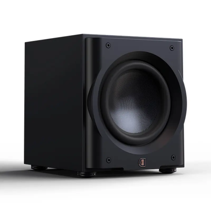 Perlisten R10s